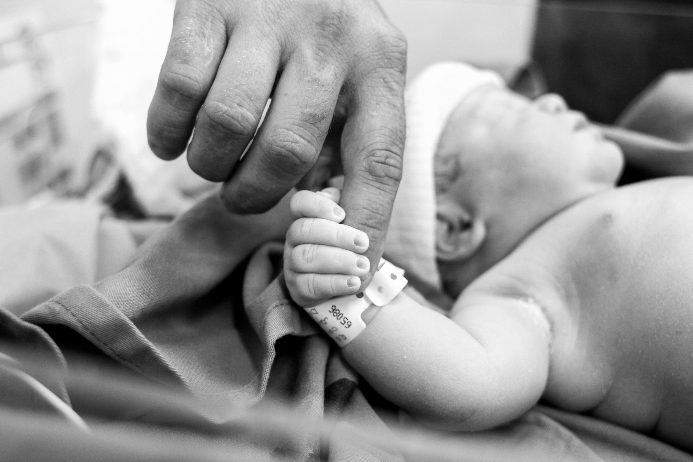 Foto de Ketryn Suda Fotografia 9