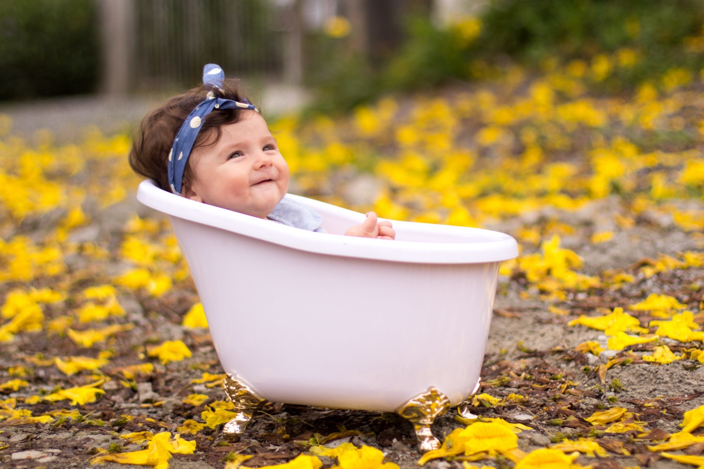 Foto de Ketryn Suda Fotografia 32