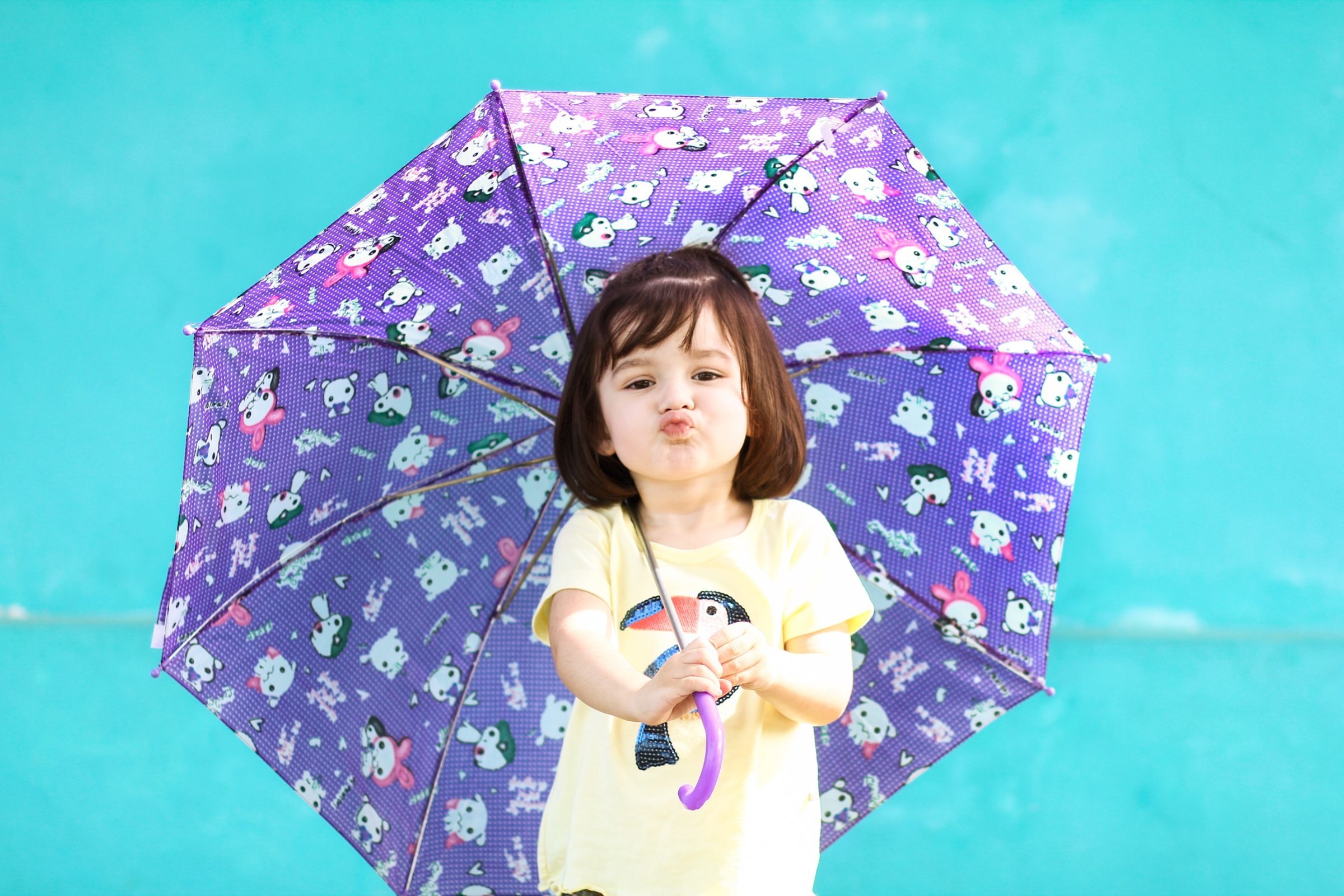 Foto de Ketryn Suda Fotografia 41